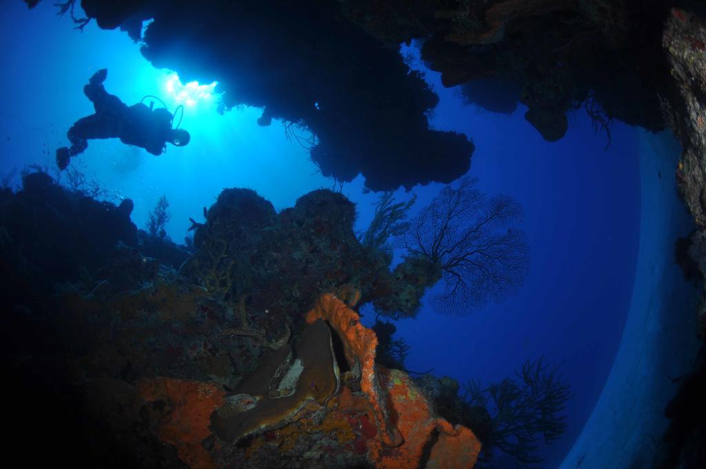 Bohio Dive Resort Cockburn Town Buitenkant foto